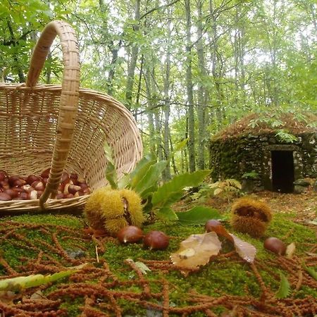 Casa Rural Margarita I Монтанчес Экстерьер фото
