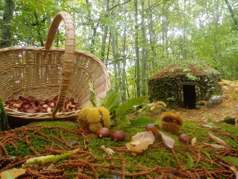 Casa Rural Margarita I Монтанчес Экстерьер фото